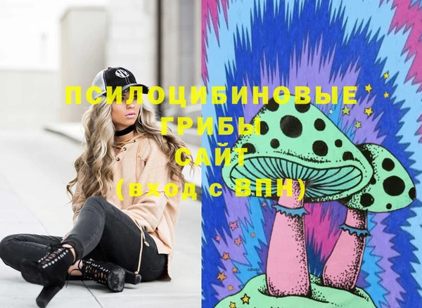 кристаллы Осинники