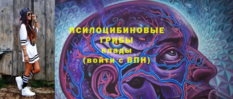 как найти наркотики  Стрежевой  Галлюциногенные грибы мицелий 