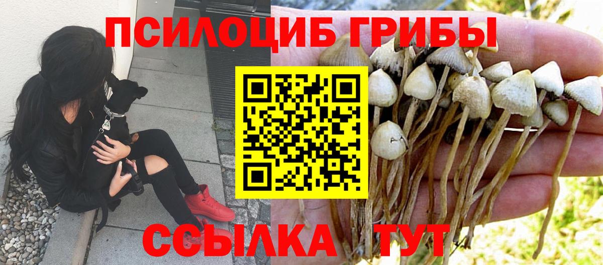 Галлюциногенные грибы GOLDEN TEACHER Стрежевой