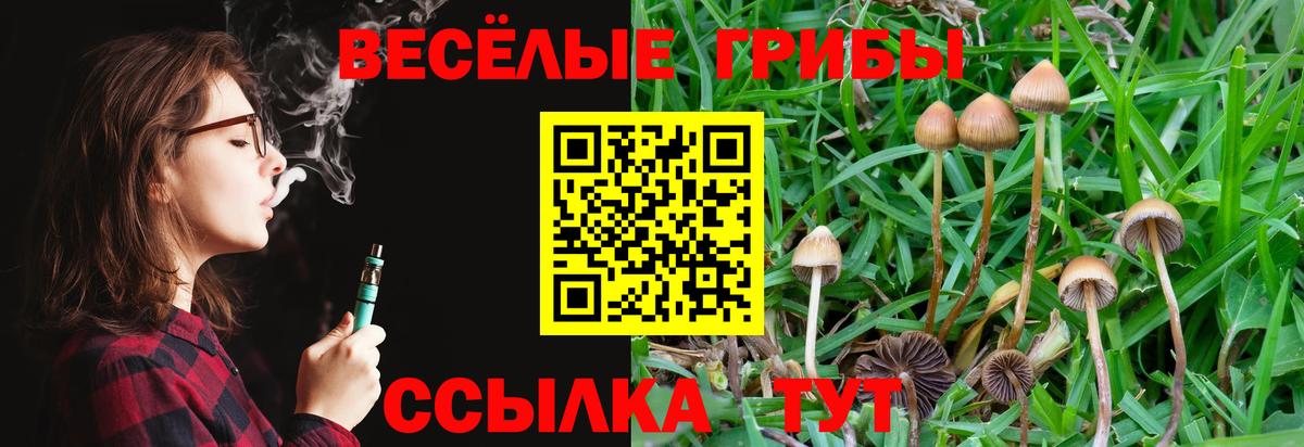 Галлюциногенные грибы Magic Shrooms  Вход с VPN  как найти закладки  Стрежевой  Галлюциногенные грибы Magic Shrooms 